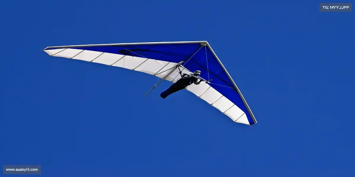 澳洲幸运10官网——🚣赛艇破浪,桨动星河!